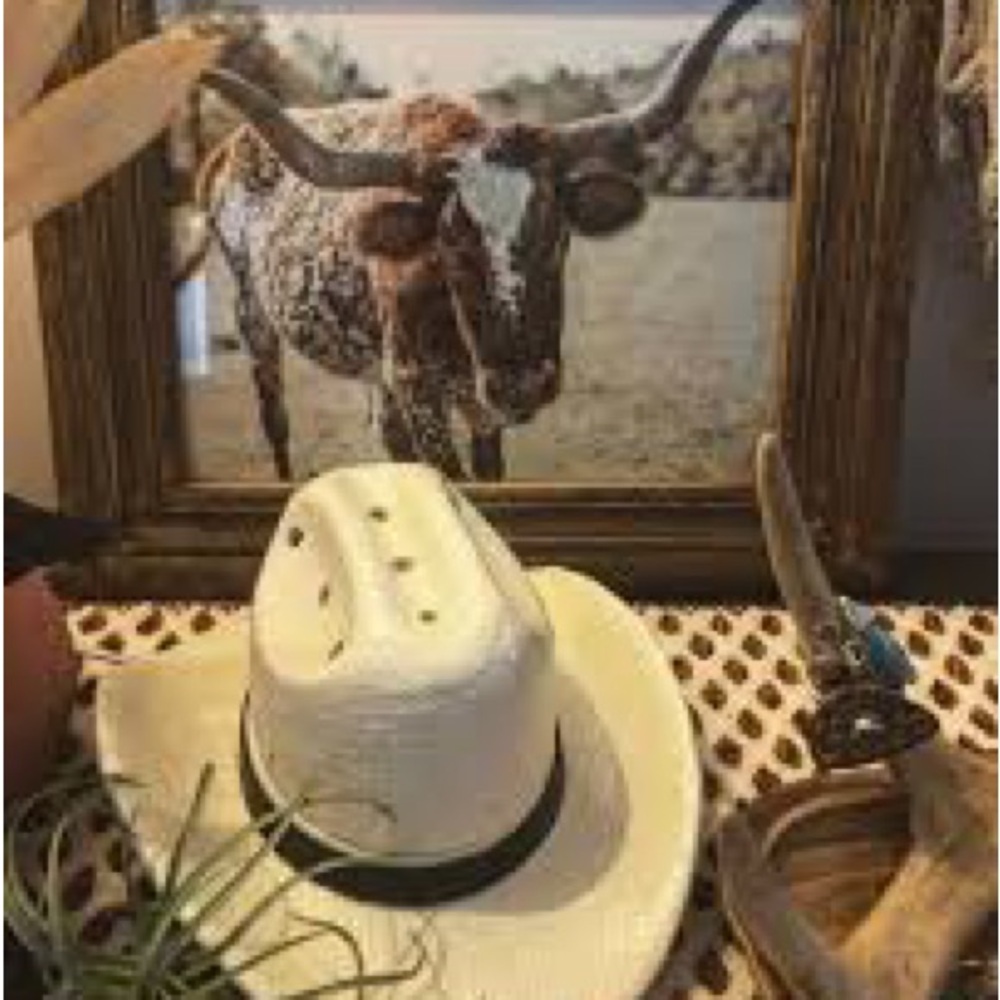 BNIB Scentsy Country Born Warmer